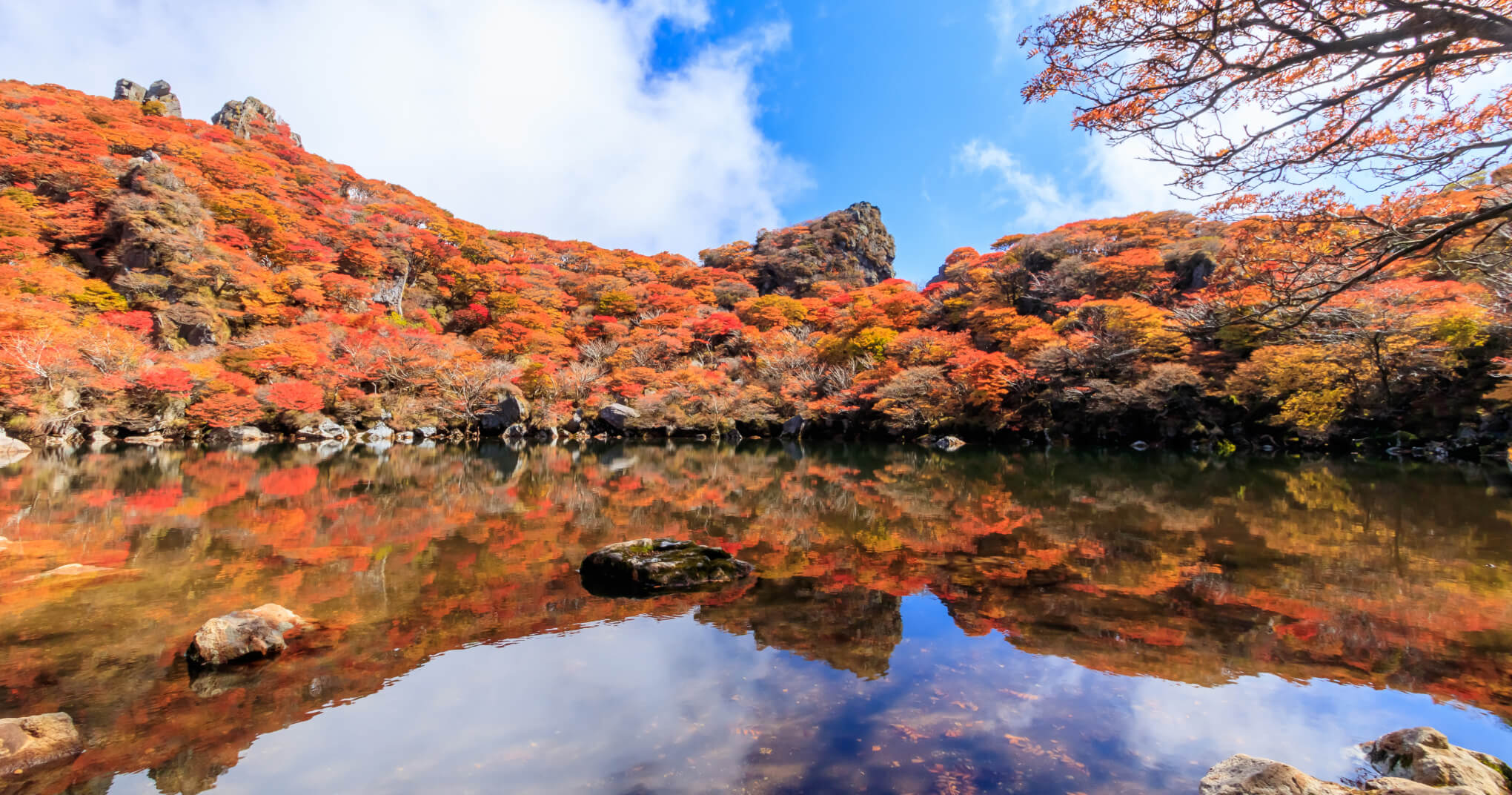 秋の池と紅葉