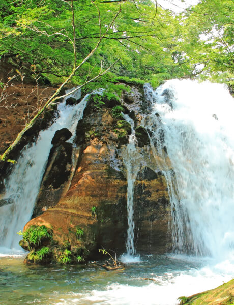 夏の滝